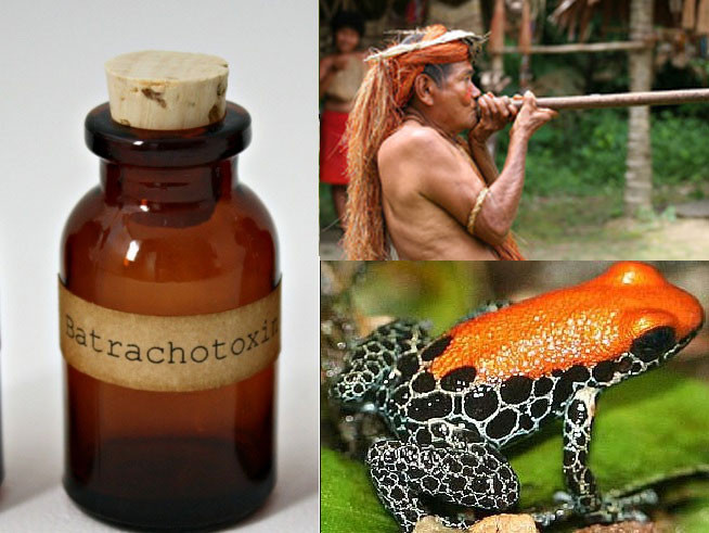 chất độc, nhất thế giới chất độc, nhất thế giới
