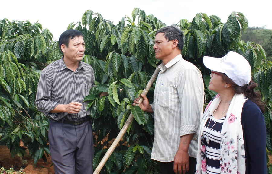 Nhiều hộ dân đồng bào DTTS đã vươn lên thoát nghèo Nhiều hộ dân đồng bào DTTS đã vươn lên thoát nghèo