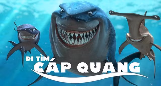 Người Việt sẽ đón Tết không có Internet nếu tiếp tục... đứt cáp quang 