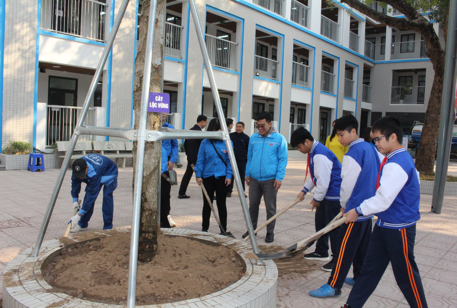 Học sinh trường THCS Thành Công tham gia trồng cây tại lễ phát động. Học sinh trường THCS Thành Công tham gia trồng cây tại lễ phát động.