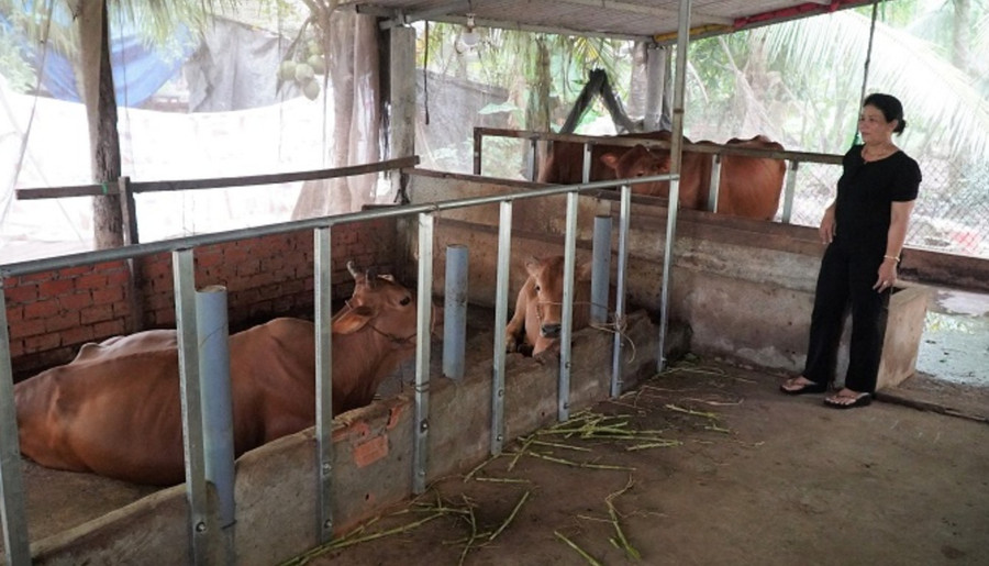 Bà Thạch Thị Đình, người dân ấp Cầu Tre, xã Long Thới, huyện Tiểu Cần Bà Thạch Thị Đình, người dân ấp Cầu Tre, xã Long Thới, huyện Tiểu Cần