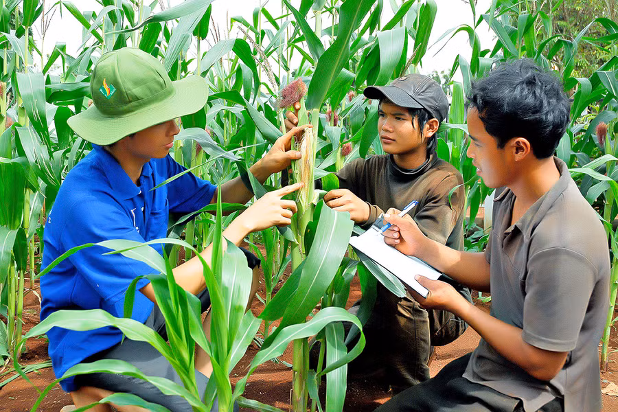 Gia Lai đã tập trung ưu tiên đầu tư cho Chương trình MTQG