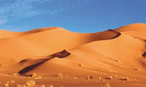 Thủ phạm biến thảo nguyên Sahara thành sa mạc khô cằn