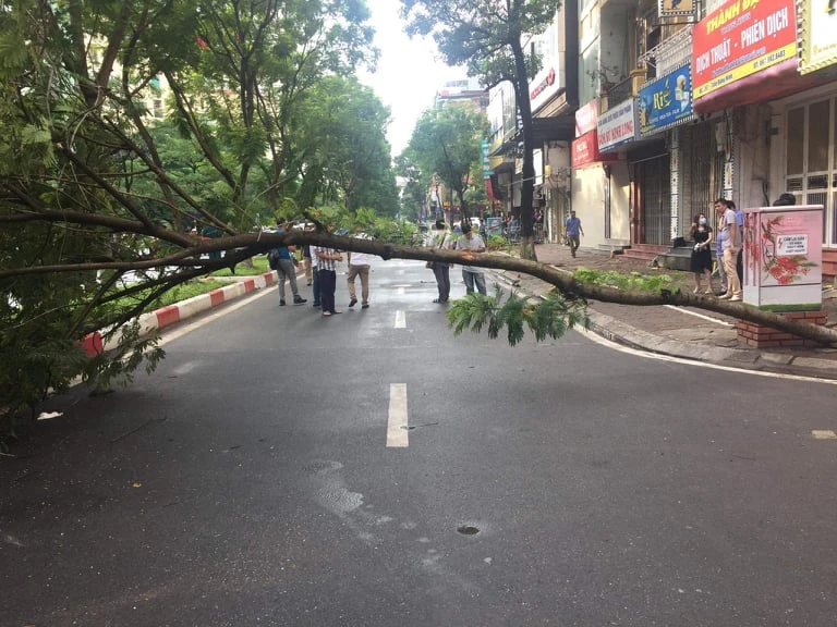 Hiện trường vụ tai nạn.