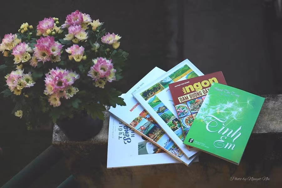 Loạt sách vừa ra mắt của tác giả Huỳnh Thu Dung, do NXB Văn hóa Văn nghệ TPHCM ấn hành. Ảnh: Nguyệt Nhi Loạt sách vừa ra mắt của tác giả Huỳnh Thu Dung, do NXB Văn hóa Văn nghệ TPHCM ấn hành. Ảnh: Nguyệt Nhi