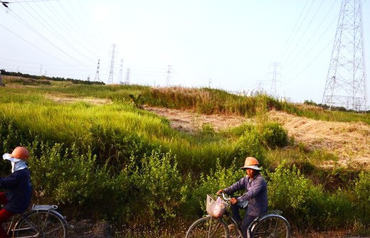 TPHCM: Hai vị nguyên lãnh đạo Công ty Tân Thuận bị bắt tạm giam