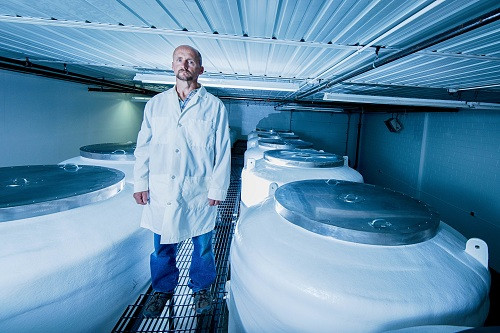Andy Zawacki, COO kiêm trợ lý tổng giám đốc Viện Cryonics, đứng giữa hai hàng thùng cryonics bảo quản thi thể đông lạnh