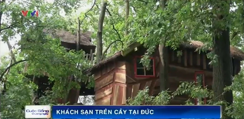 Khách sạn ở trên cây