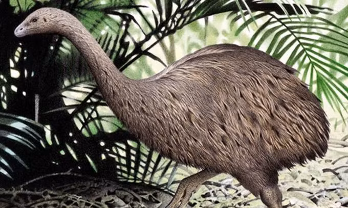 10 động vật tuyệt chủng có thể được hồi sinh ảnh 5