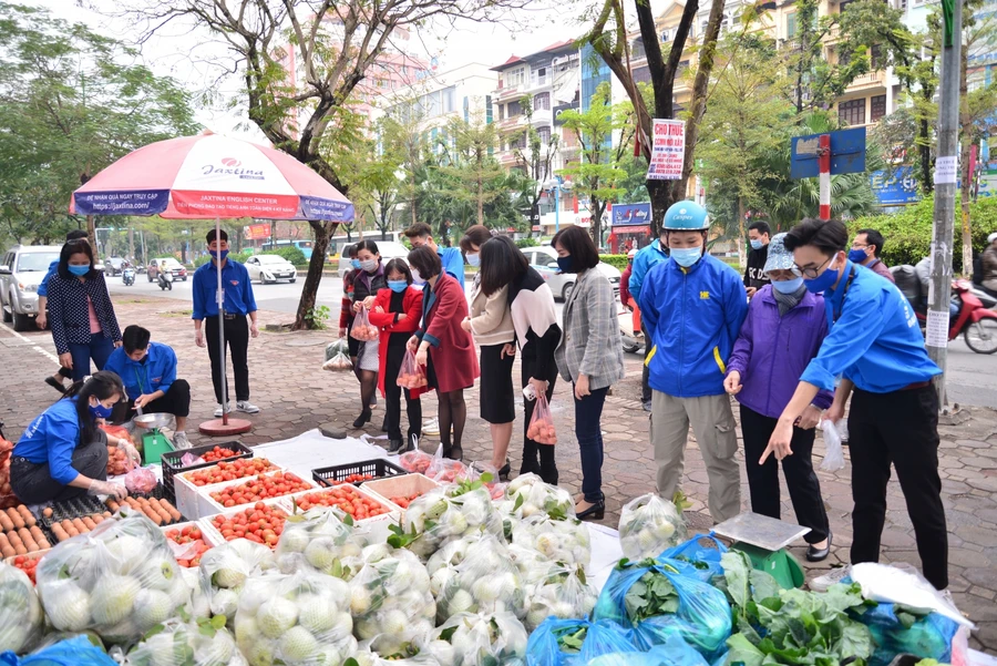 Ngay từ sáng sớm, các tình nguyện viên Trường Đại học Điện lực đã có mặt ở trường để tham gia hoạt động ý nghĩa này.