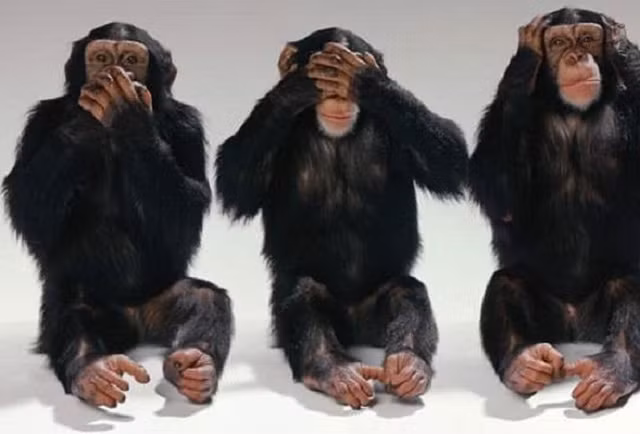  Tinh tinh không có lông trên mặt và trên lòng bàn tay, bàn chân. Giống các loài khỉ, vượn khác, tinh tinh không có đuôi. 