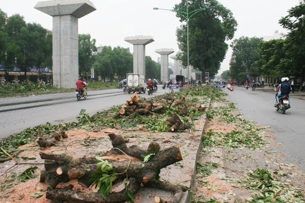 Tạm dừng là đúng!