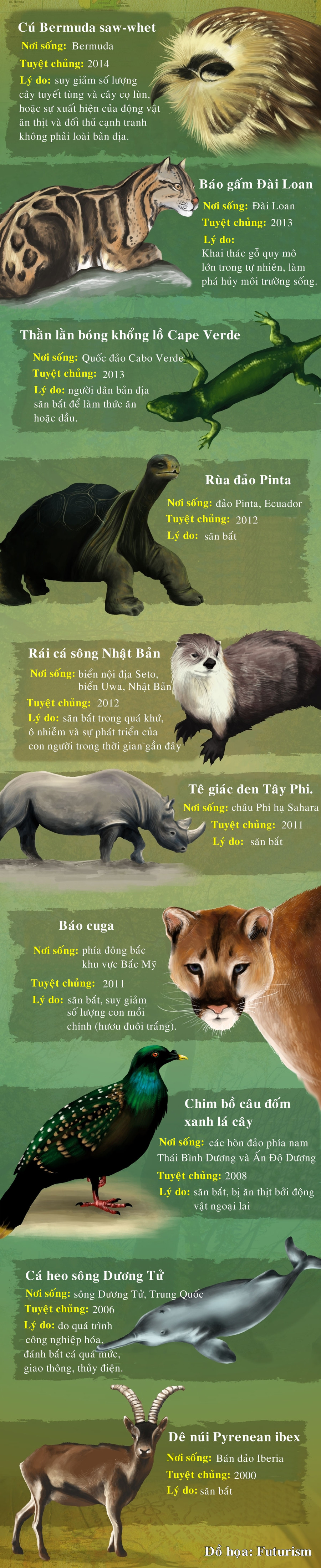 10 loài động vật tuyệt chủng trong 10 năm qua ảnh 1 10 loài động vật tuyệt chủng trong 10 năm qua ảnh 1