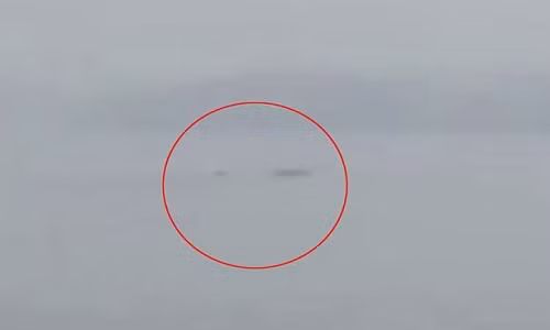 Xuất hiện sinh vật giống hệt quái vật hồ Loch Ness ở Trung Quốc