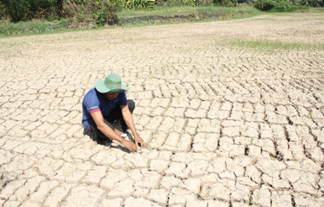 Những tác nhân gây ra hạn hán