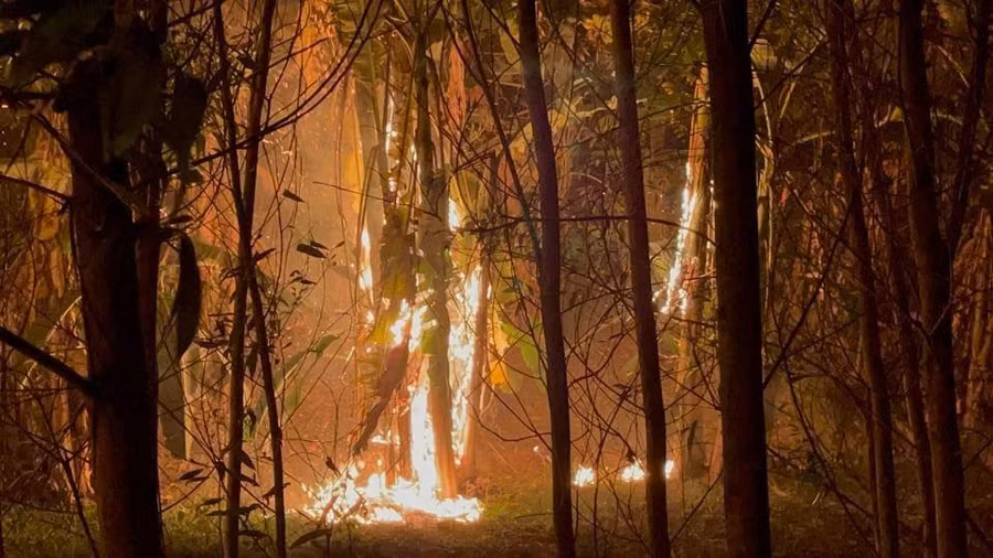 Hiện trường đám cháy.