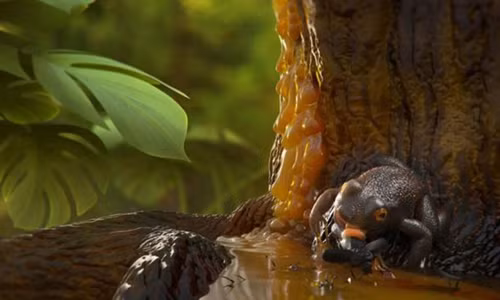 ẾchElectrorana limoae khi sống trong rừng nhiệt đới cổ đại.Ảnh:Damir G Martin.