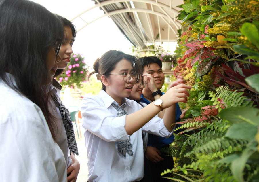 Điểm nhấn của không gian xanh là vườn cây nhiều màu sắc với hệ thống tưới tự động thông minh.