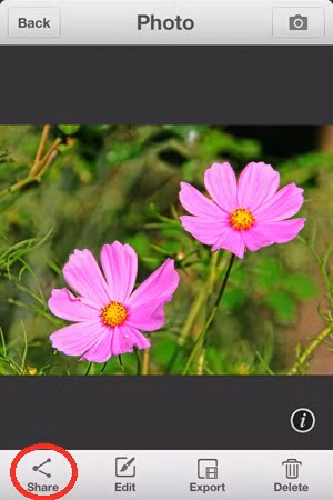 A5-Huong-dan-su-dung-Camera-360-tren-iPhone-Ultimate.jpg