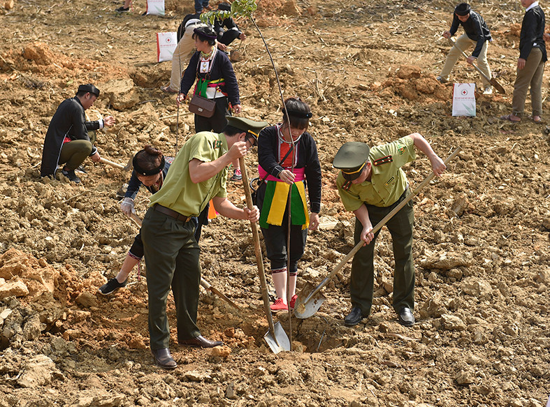 Đông đảo người dân và các cán bộ, công chức tham gia Tết trồng cây. - Ảnh: VGP/Nhật Bắc Đông đảo người dân và các cán bộ, công chức tham gia Tết trồng cây. - Ảnh: VGP/Nhật Bắc