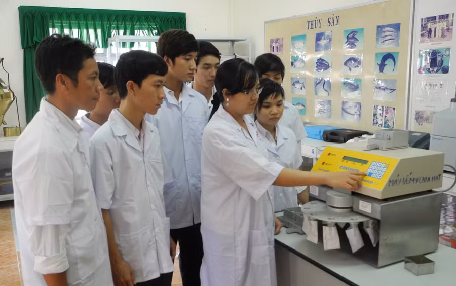 Các dự án khởi nghiệp luôn cần những quỹ đầu tư mạnh. 