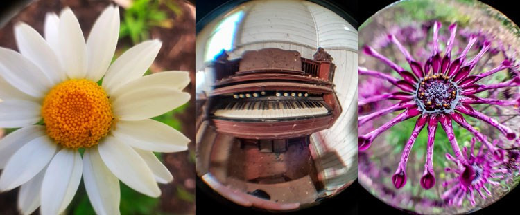 Làm thế nào để chụp ảnh đẹp bằng điện thoại Android? ảnh 6 Làm thế nào để chụp ảnh đẹp bằng điện thoại Android? ảnh 6