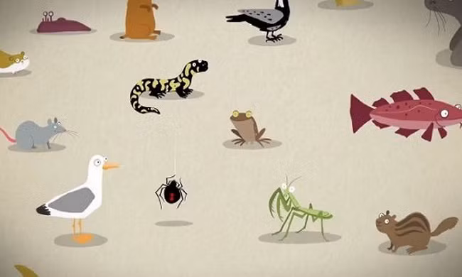 Những sát thủ động vật chuyên ăn thịt đồng loại