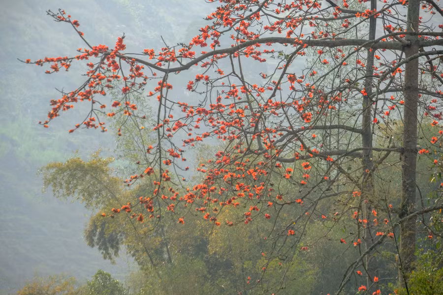 Keyword đầu tiên có dấu