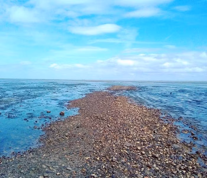 Lối đi bộ được mệnh danh 