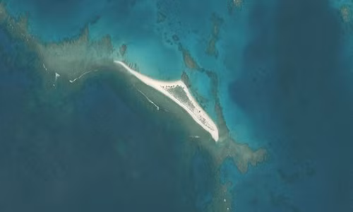 Đảo Đông trong ảnh vệ tinh chụp hồi tháng 5. Ảnh: FWS.