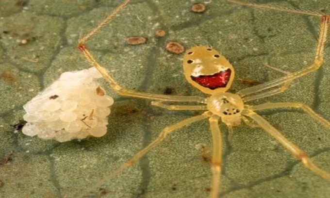 Các tảng đá và cấu trúc trong tự nhiên giống hệt khuôn mặt của con người ảnh 6