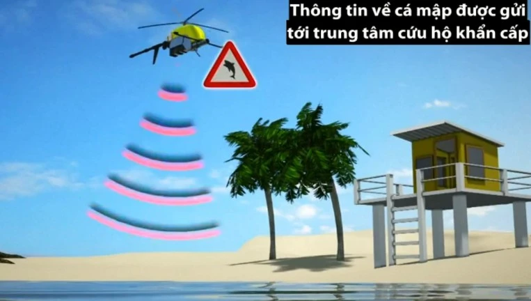 Máy bay không người lái trang bị công nghệ nhận dạng cá mập tự động