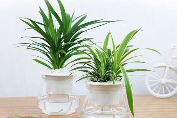 6 quan niệm phong thủy sai lầm nhà giàu ít tin, nhà nghèo lại amp;#34;gật gùamp;#34; làm theo - 3