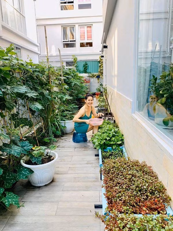 Thân Thúy Hà tiết lộ, nhờ nghỉ dịch nên chị có thời gian dành cho các con và cũng vì không để thời gian rảnh rỗi nên chị quyết định gieo trồng vườn rau, ăn trái tại gia để lấy thực phẩm sạch cho gia đình.