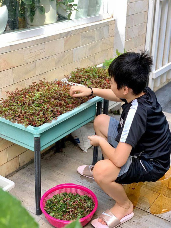 Tình bạn đáng ngưỡng mộ của 2 mỹ nhân nổi tiếng cùng tên Hà ảnh 6