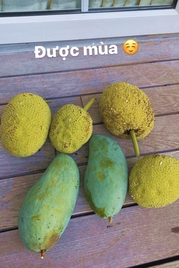 Tình bạn đáng ngưỡng mộ của 2 mỹ nhân nổi tiếng cùng tên Hà ảnh 12