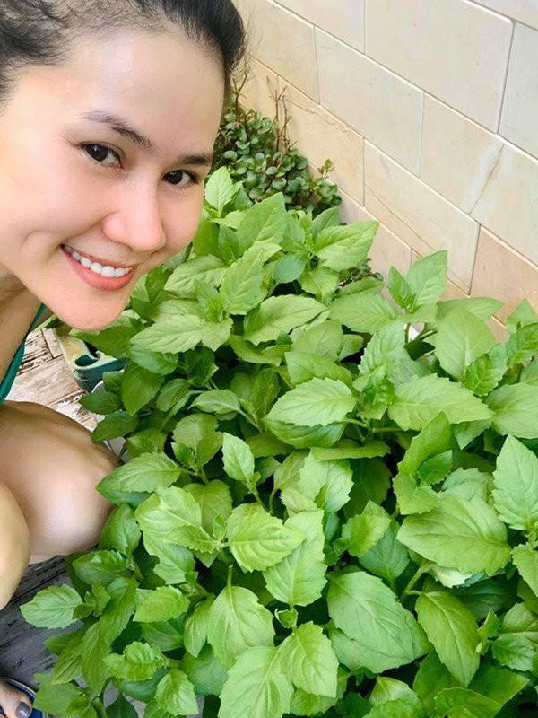 Tình bạn đáng ngưỡng mộ của 2 mỹ nhân nổi tiếng cùng tên Hà ảnh 3