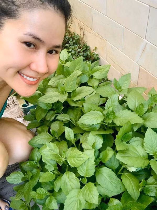 Tình bạn đáng ngưỡng mộ của 2 mỹ nhân nổi tiếng cùng tên Hà ảnh 3 Tình bạn đáng ngưỡng mộ của 2 mỹ nhân nổi tiếng cùng tên Hà ảnh 3