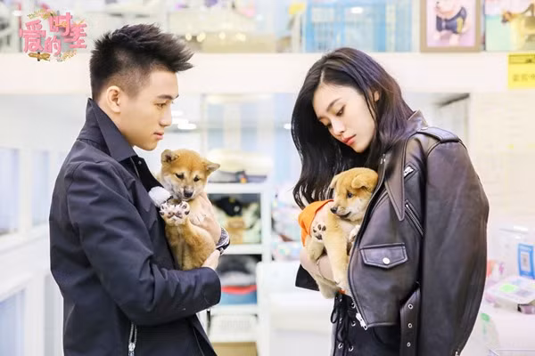 Cả hai là cặp đôi gây chú ý nhất kể từ sau khi ông Hà qua đời.