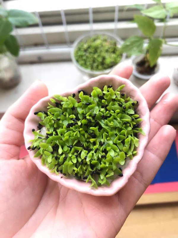 Có rất nhiều kiểu để ươm cây nhưng nhìn chung cách nào cũng dễ thực hiện. Có rất nhiều kiểu để ươm cây nhưng nhìn chung cách nào cũng dễ thực hiện.