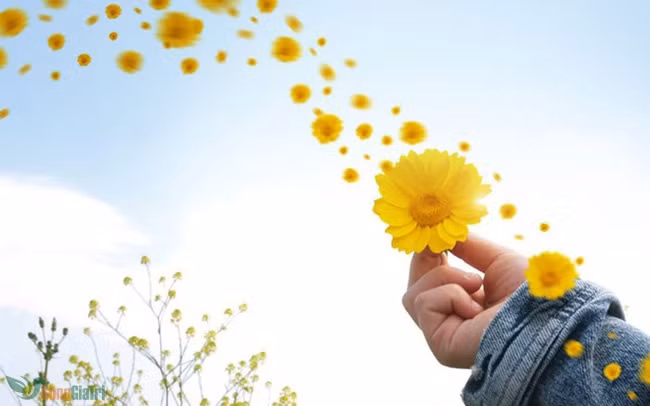 7 điều khó khăn nhất trong đời người: Khó tìm nhất là tri kỷ - 4