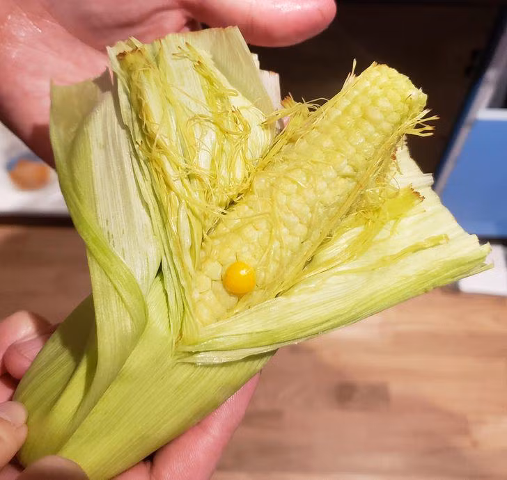 11 bức ảnh chứng tỏ thiên nhiên là những điều bí ẩn không ngừng khiến con người kinh ngạc - 9