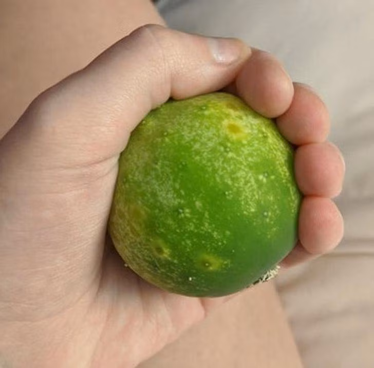 11 bức ảnh chứng tỏ thiên nhiên là những điều bí ẩn không ngừng khiến con người kinh ngạc - 3