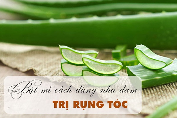 Cách trị rụng tóc tại nhà nhanh nhất từ nguyên liệu thiên nhiên ảnh 4 14 cách trị rụng tóc tại nhà nhanh nhất từ nguyên liệu thiên nhiên - 4