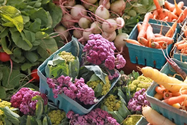 10 món đừng tiếc tiền mua cho con, tương lai dễ thành thiên tài lại có sức khỏe hơn người - 10