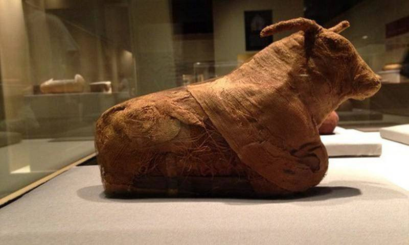 Bí mật kinh hoàng sau khi mở nắp quan tài 90 tấn ảnh 2 Bí mật kinh hoàng sau khi lật nắp quan tài 90 tấn bằng thuốc nổ - 4