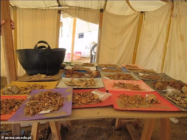 Hài cốt amp;#34;đứa trẻ ngủamp;#34; 2.000 tuổi gây sốc vì… không phải người - 3