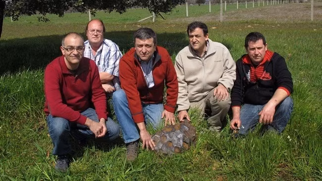 Mấy cục đá xù xì nhặt ở đường tưởng vô dụng không ngờ là báu vật giá trị khủng - 4