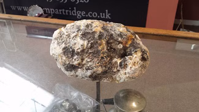 Mấy cục đá xù xì nhặt ở đường tưởng vô dụng không ngờ là báu vật giá trị khủng - 9