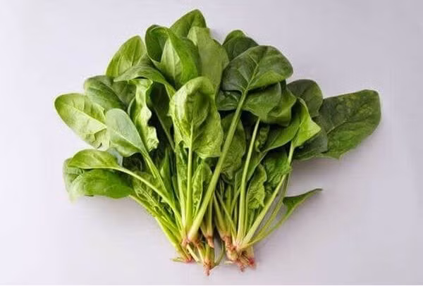 Tưởng bình thường nhưng đậu phụ nấu chung với những thứ này chẳng khác nào hại cơ thể - 6